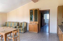 Commerical property with apartment for Sale In Cleto Calabria