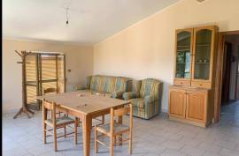 Commerical property with apartment for Sale In Cleto Calabria