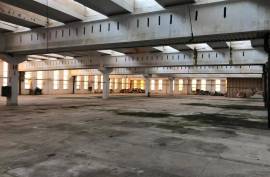 Excellent Commercial Warehouse Space For Sale In Țibanești