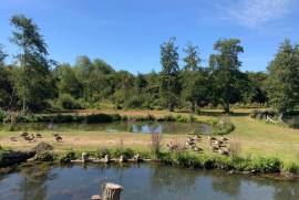 Excellent 3 Bed Lodge For Sale In Attin