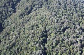 Excellent Large Property For Sale for sale in Los Lagos in
