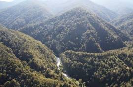 Excellent Large Property For Sale for sale in Los Lagos in