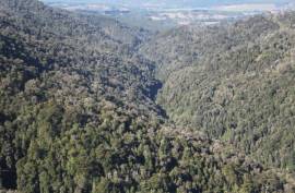 Excellent Large Property For Sale for sale in Los Lagos in