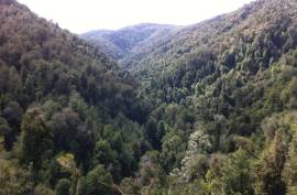 Excellent Large Property For Sale for sale in Los Lagos in