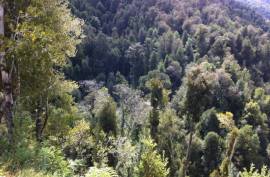 Excellent Large Property For Sale for sale in Los Lagos in