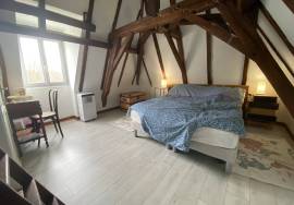 Charmante maison en pierre a vendre dans le Perigord Noir