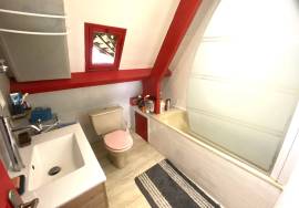 Charmante maison en pierre a vendre dans le Perigord Noir