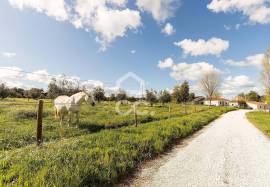Villa Estremoz Arcos