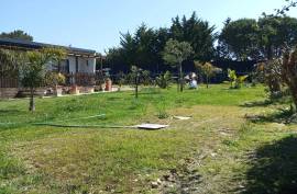 Agricultural land 12 hectares with recognized international trade in tropical plants and flowers + 2 Mobile homes - Odeceixe