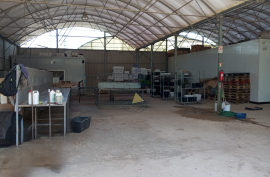Agricultural land 12 hectares with recognized international trade in tropical plants and flowers + 2 Mobile homes - Odeceixe