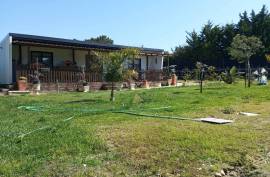 Agricultural land 12 hectares with recognized international trade in tropical plants and flowers + 2 Mobile homes - Odeceixe