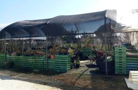 Agricultural land 12 hectares with recognized international trade in tropical plants and flowers + 2 Mobile homes - Odeceixe