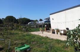 Agricultural land 12 hectares with recognized international trade in tropical plants and flowers + 2 Mobile homes - Odeceixe