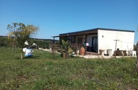 Agricultural land 12 hectares with recognized international trade in tropical plants and flowers + 2 Mobile homes - Odeceixe
