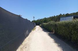 Agricultural land 12 hectares with recognized international trade in tropical plants and flowers + 2 Mobile homes - Odeceixe