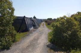 Agricultural land 12 hectares with recognized international trade in tropical plants and flowers + 2 Mobile homes - Odeceixe