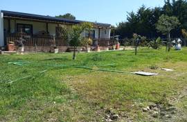 Agricultural land 12 hectares with recognized international trade in tropical plants and flowers + 2 Mobile homes - Odeceixe