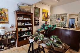 Shop with basement in the historic center of Santarém.