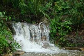 Farm/ House, For Sale, 38.600m2, Furnished, 4 Bedrooms, 4 Suites, 5 Bathrooms, 8 Vacancies, Near the Sea, Garopaba/ SC