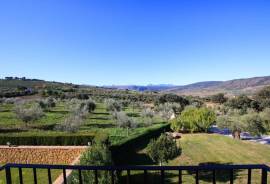 Andalucian Inspired Country Property