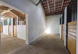Boxes, riding arena and horse facilities