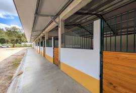 Horse stall rental
