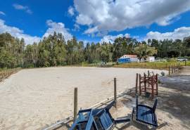 Boxes, riding arena and horse facilities