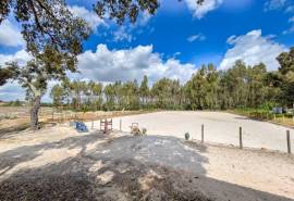 Boxes, riding arena and horse facilities