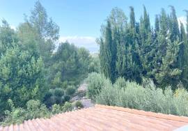 FOR RENT from 15 June 2025 to 15 May 2026 FINCA in CASTALLA (Alicante).