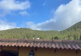 FOR RENT from 15 June 2025 to 15 May 2026 FINCA in CASTALLA (Alicante).