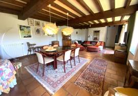 Charmante maison en pierre a vendre dans le coeur du Perigord Noir