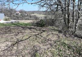 - Land - Aquitaine - For Sale - 11742T-EY