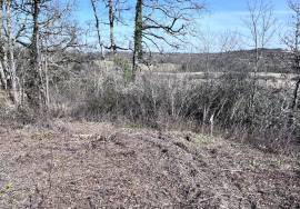 - Land - Aquitaine - For Sale - 11742T-EY