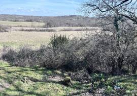 - Land - Aquitaine - For Sale - 11742T-EY