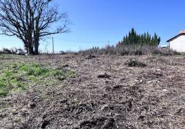 - Land - Aquitaine - For Sale - 11742T-EY