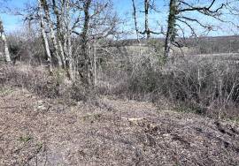- Land - Aquitaine - For Sale - 11742T-EY