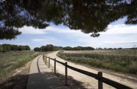 Neue Wohnanlage in Torrevieja, nur 1 km vom Meer entfernt