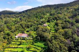 2 Bedroom Farm with Panoramic and Stunning Views of the mountains in Monchique