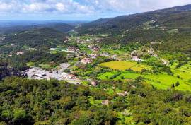 2 Bedroom Farm with Panoramic and Stunning Views of the mountains in Monchique