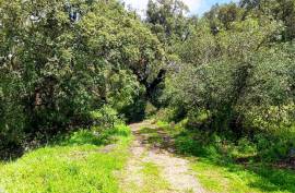 2 Bedroom Farm with Panoramic and Stunning Views of the mountains in Monchique