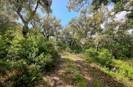 2 Bedroom Farm with Panoramic and Stunning Views of the mountains in Monchique