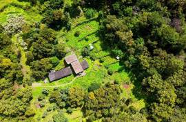 2 Bedroom Farm with Panoramic and Stunning Views of the mountains in Monchique