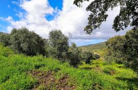 2 Bedroom Farm with Panoramic and Stunning Views of the mountains in Monchique
