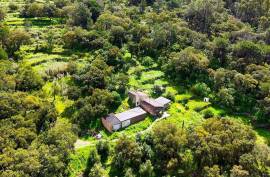 2 Bedroom Farm with Panoramic and Stunning Views of the mountains in Monchique