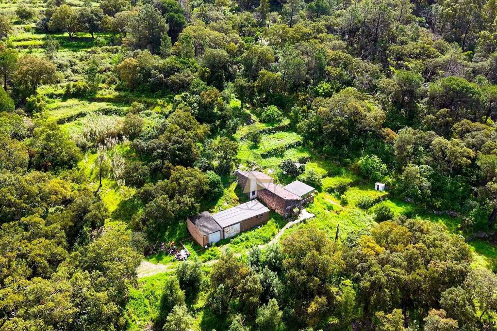 2 Bedroom Farm with Panoramic and Stunning Views of the mountains in Monchique