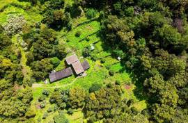2 Bedroom Farm with Panoramic and Stunning Views of the mountains in Monchique