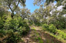 2 Bedroom Farm with Panoramic and Stunning Views of the mountains in Monchique