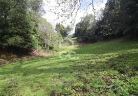 Land with 7.277,00m2 - Furnas - Povoação