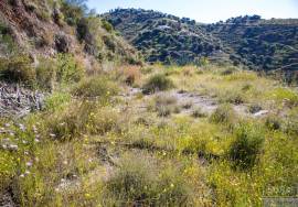 Rustic finca of 29.800 m² in Sayalonga, with stunning views and a house to reform. Ideal for rural project, agriculture or charming house in the middle of nature.