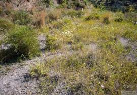 Rustic finca of 29.800 m² in Sayalonga, with stunning views and a house to reform. Ideal for rural project, agriculture or charming house in the middle of nature.